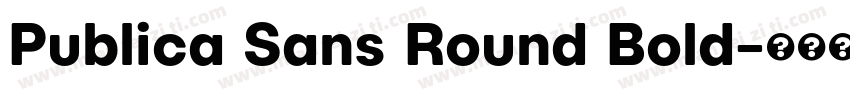 Publica Sans Round Bold字体转换